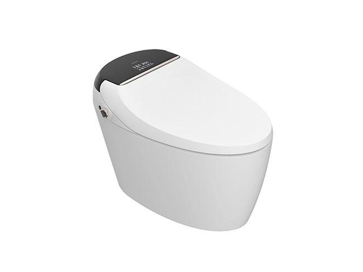Smart toilet