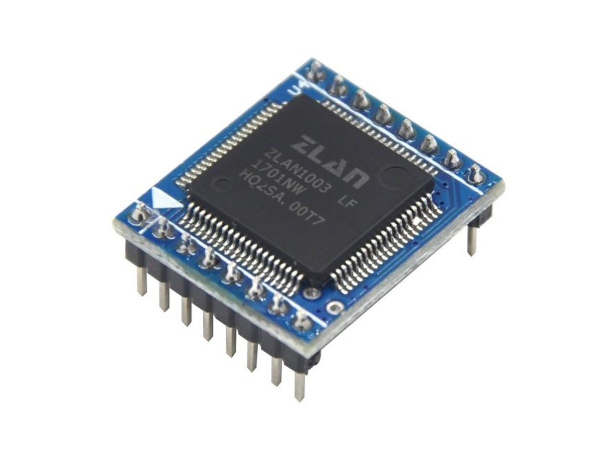 Serial server module with chip