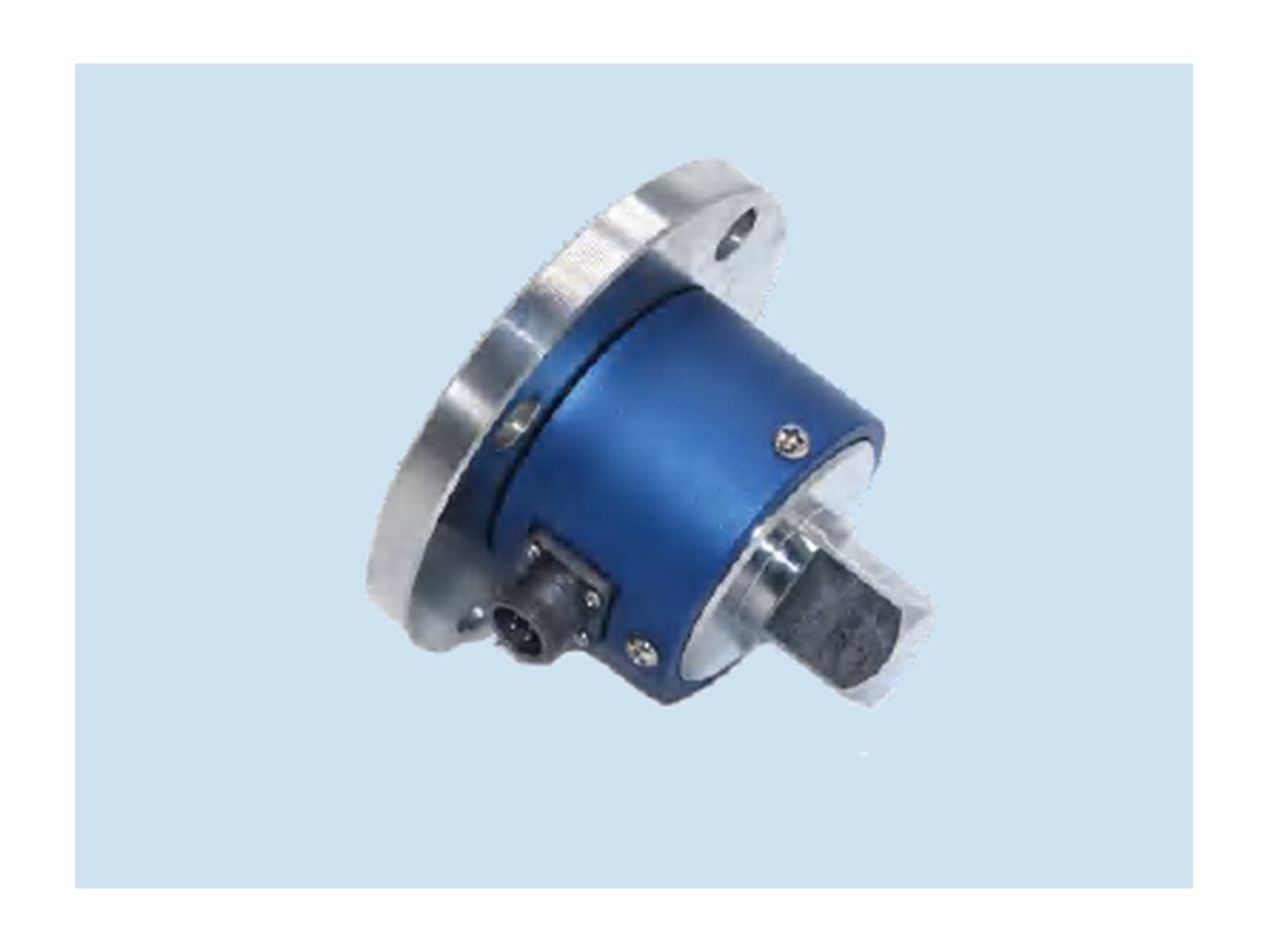 Dynamic torque sensor